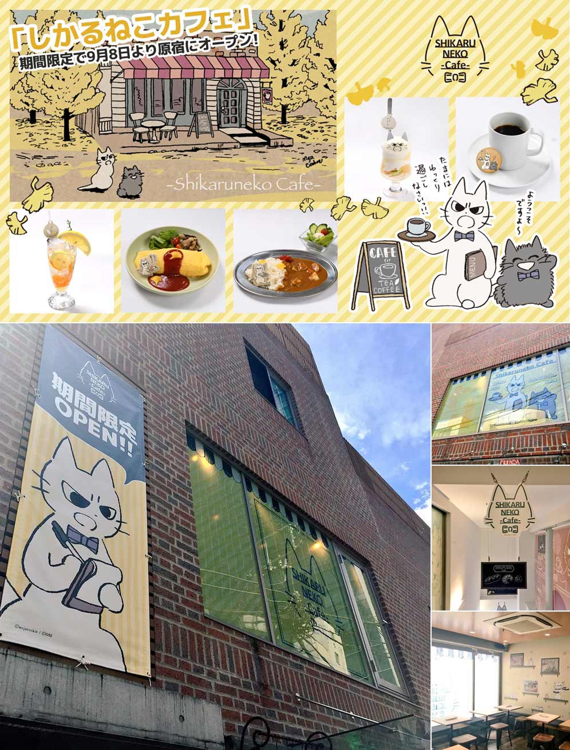 『しかるねこカフェ』が期間限定で原宿にオープン（期間:9/8日(土)〜10/28(日) -1