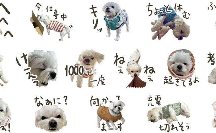 LINEスタンプ