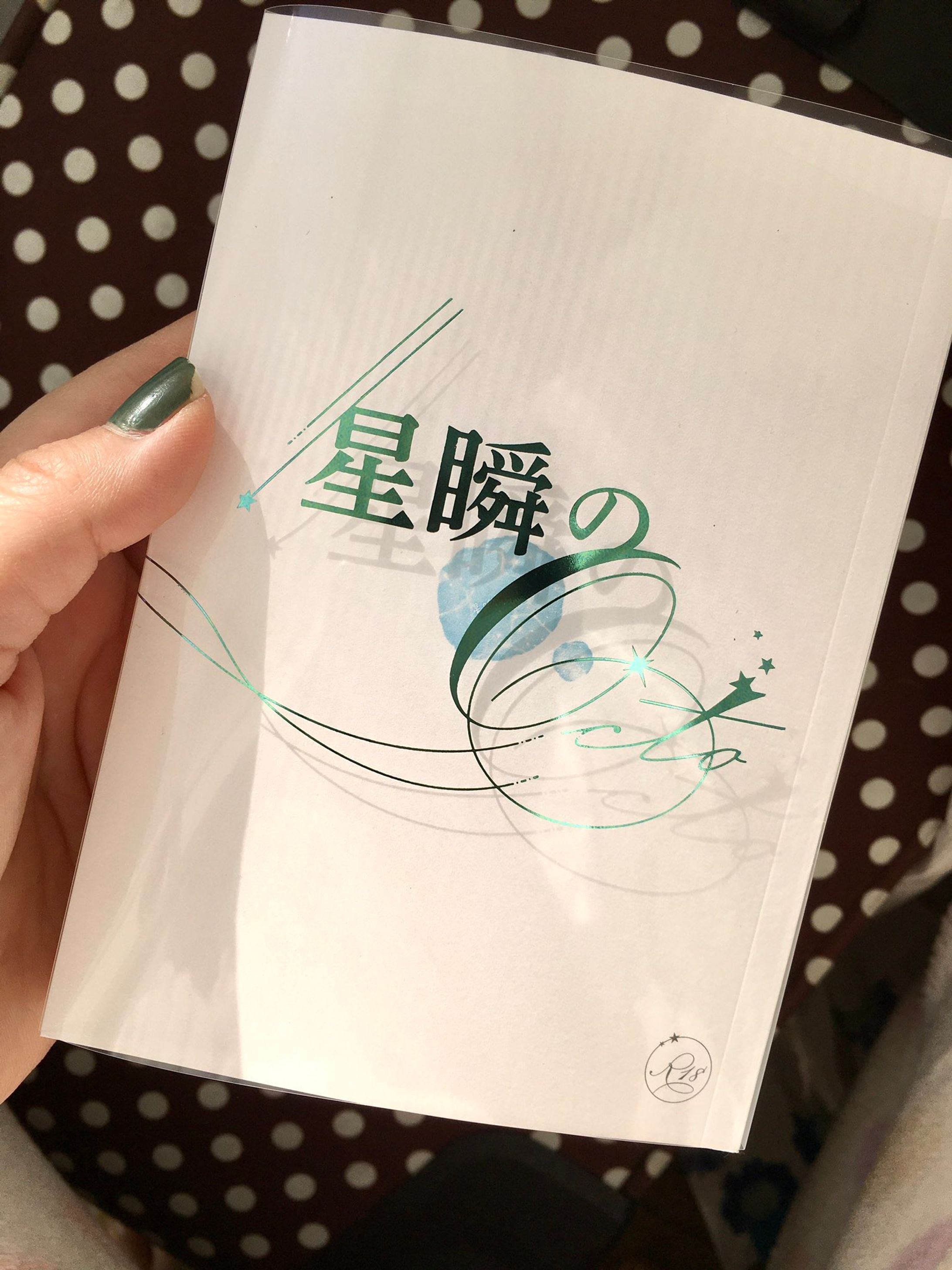 同人誌「星瞬のOcto」-1