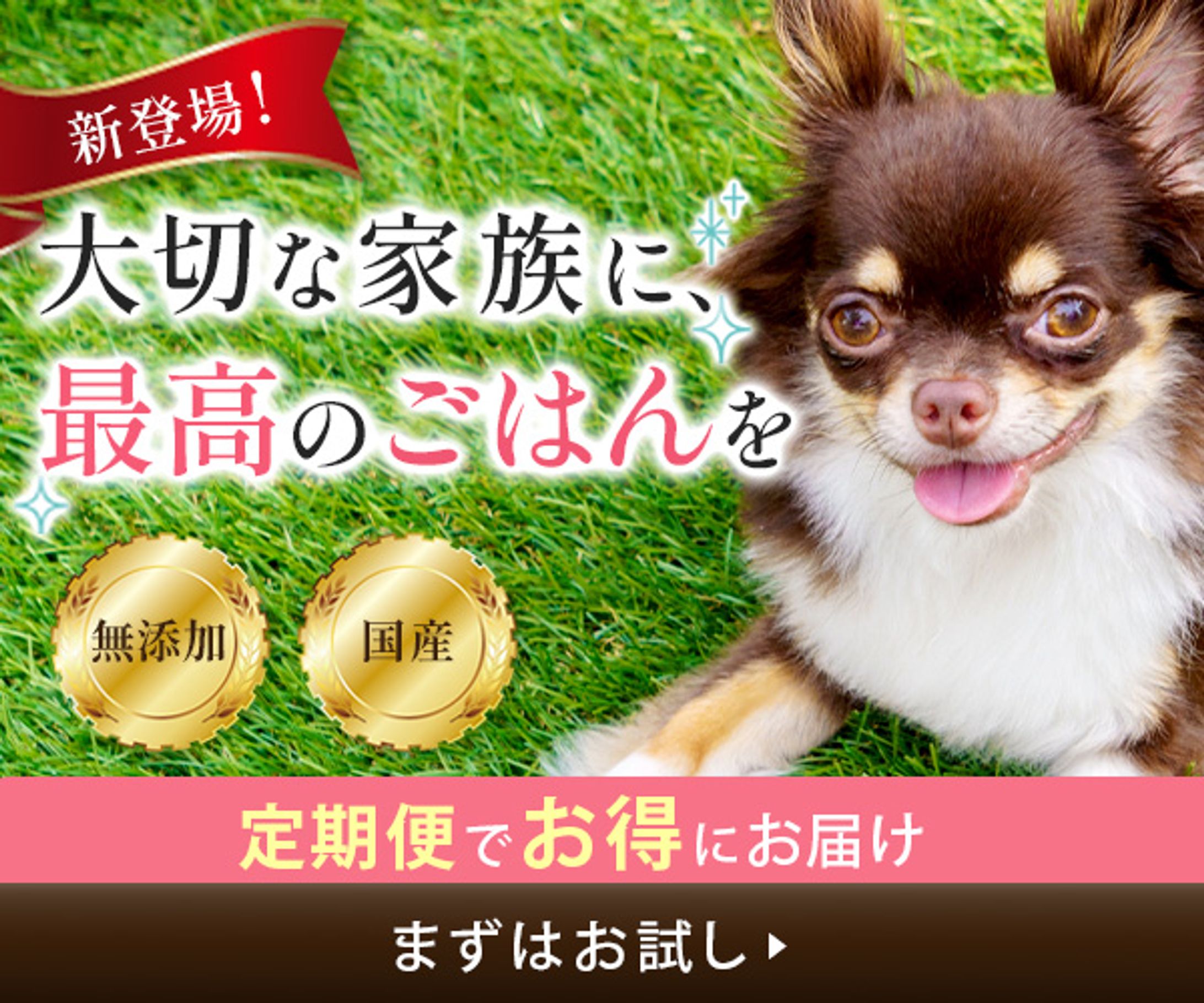 ペット用品　ドッグフード　広告　バナー-1