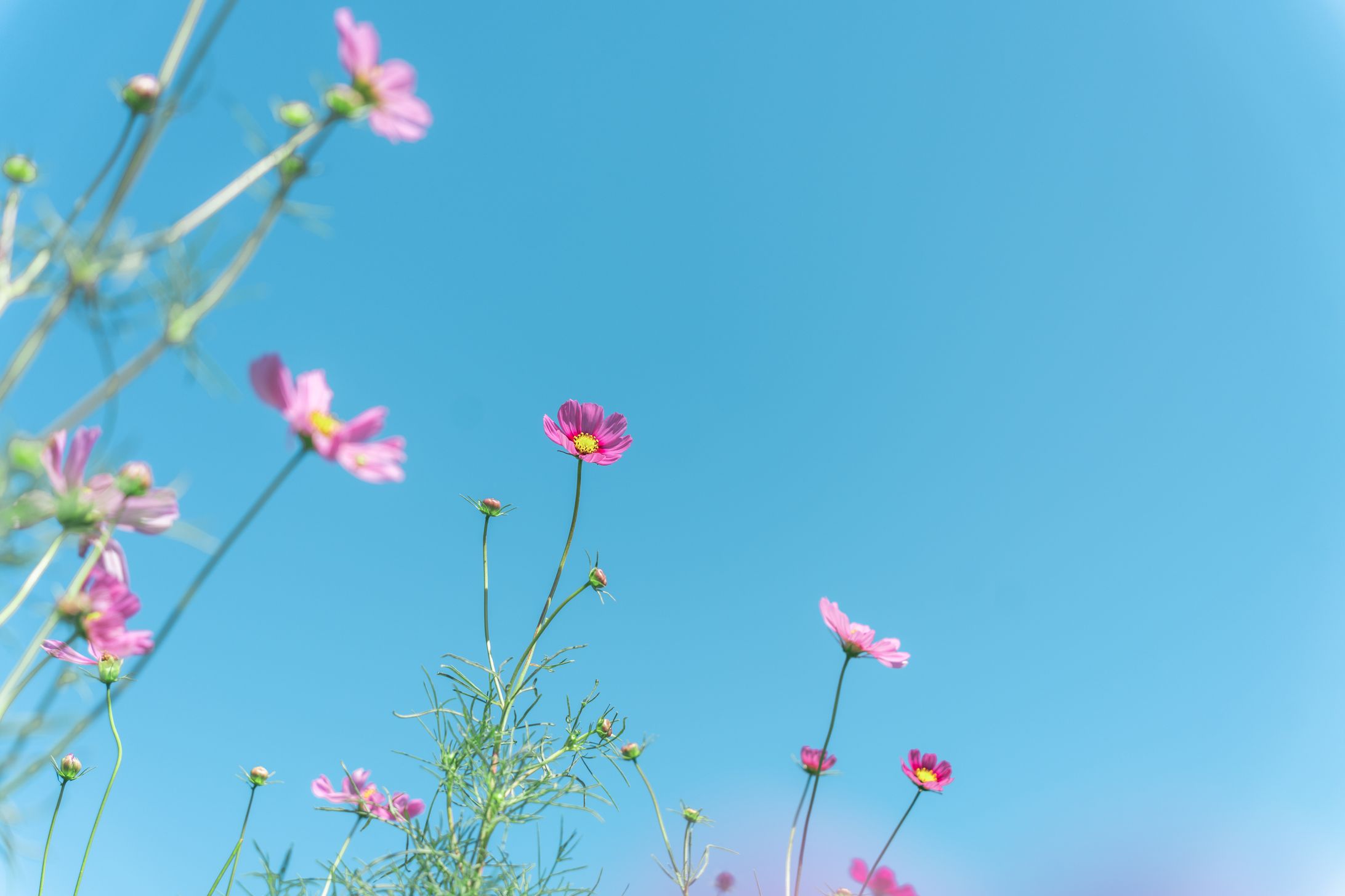 gallery_nature_autumn-1