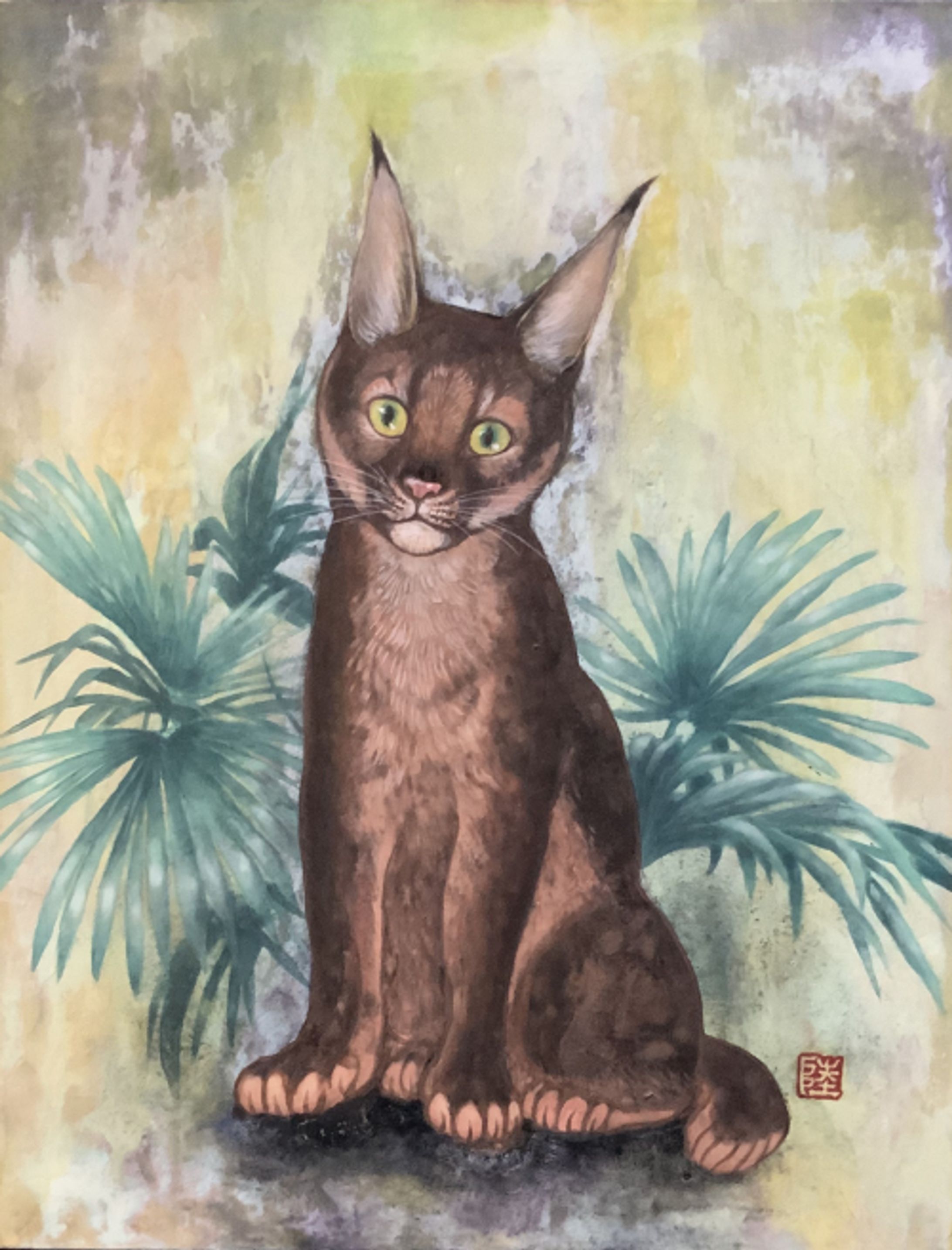 「ヤマネコ」-1