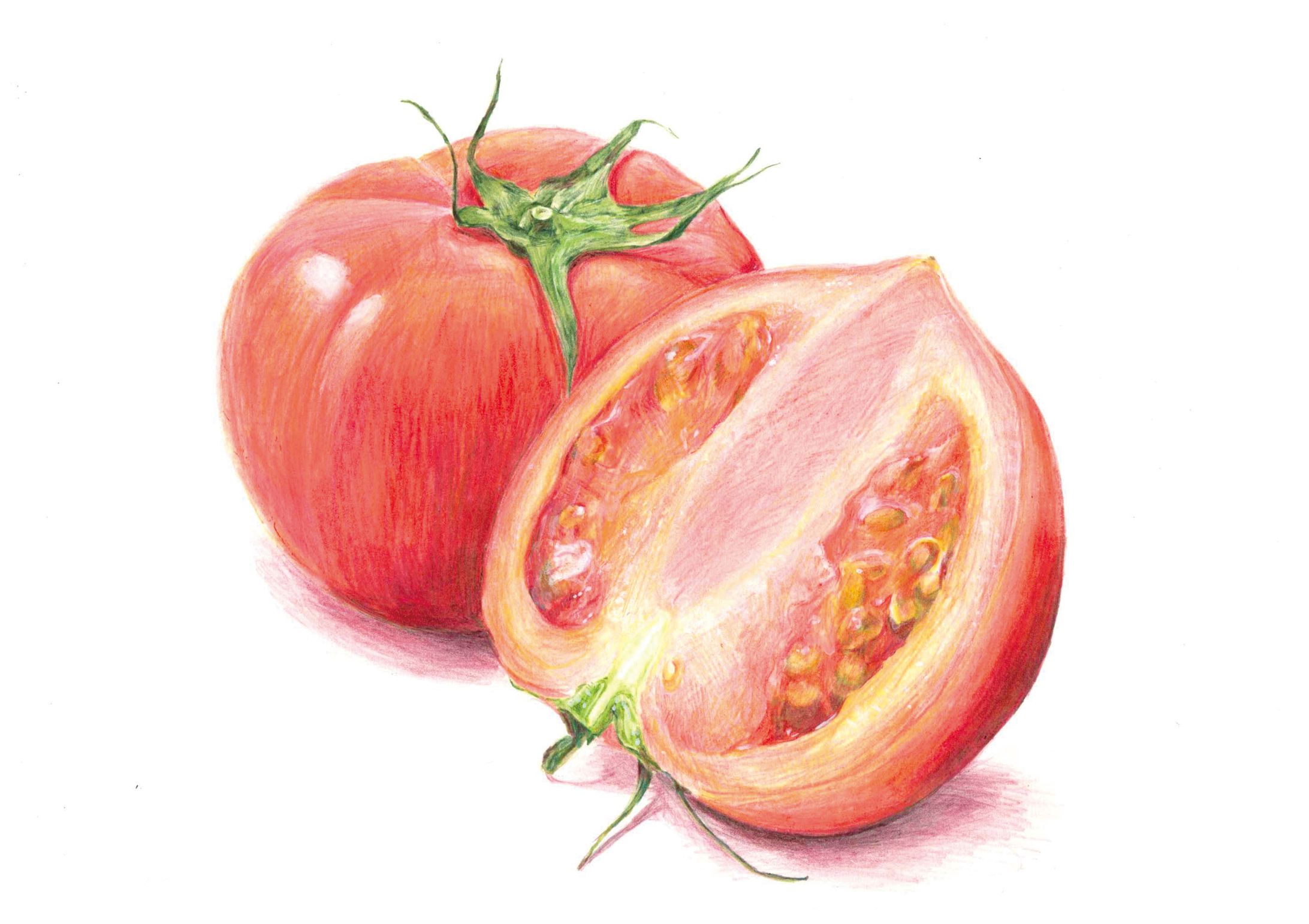 イラスト集-1