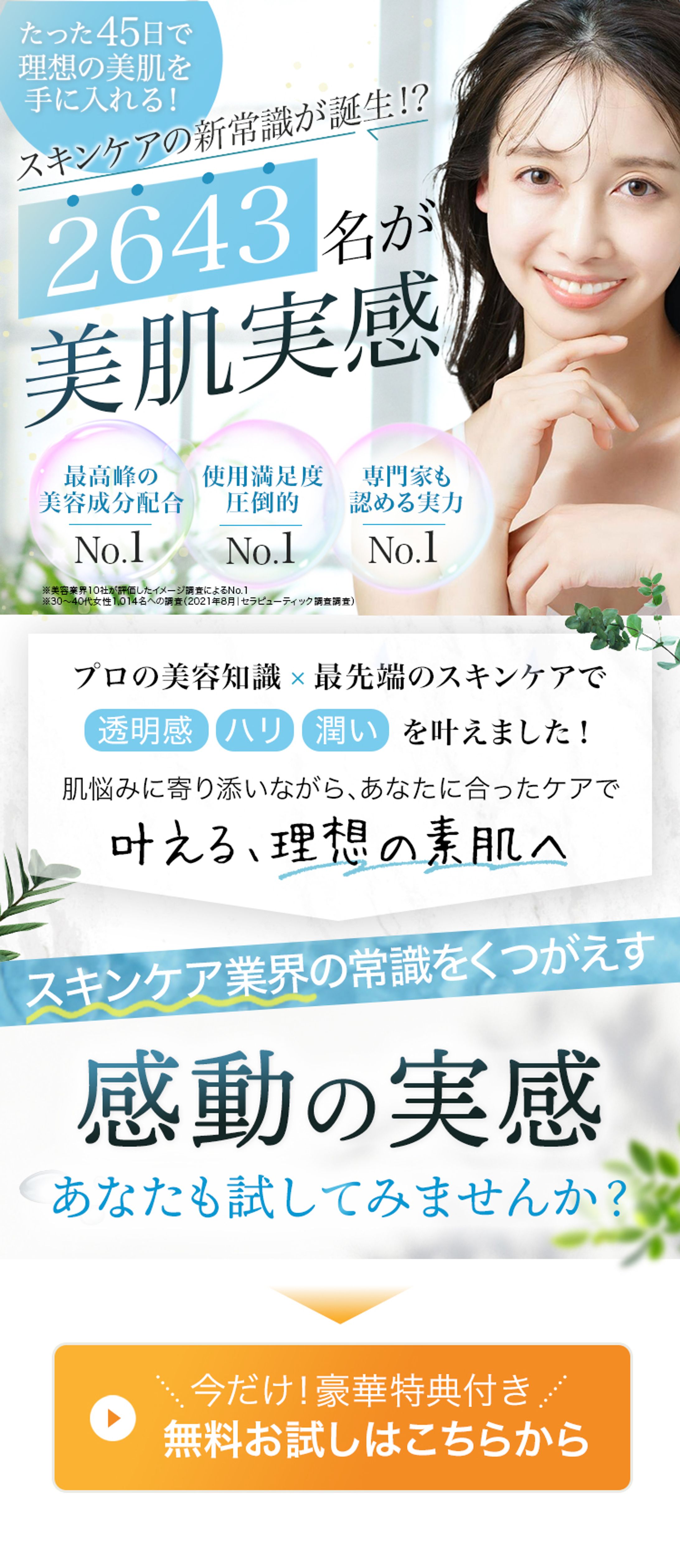 LP：ファーストビュー-1