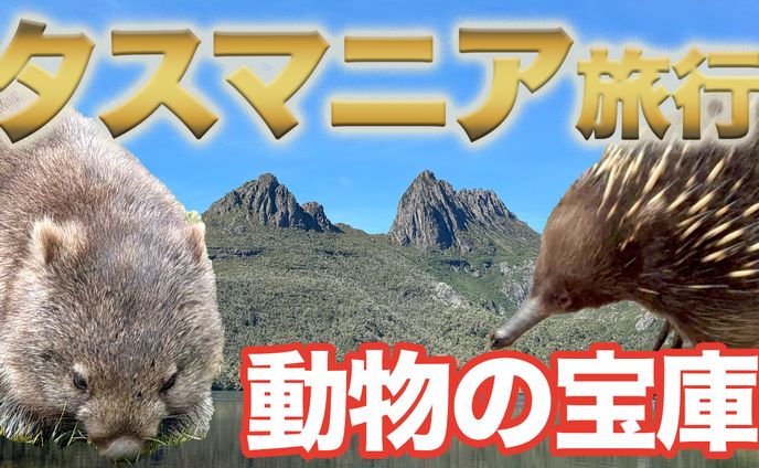 YouTubeサムネイル：タスマニア