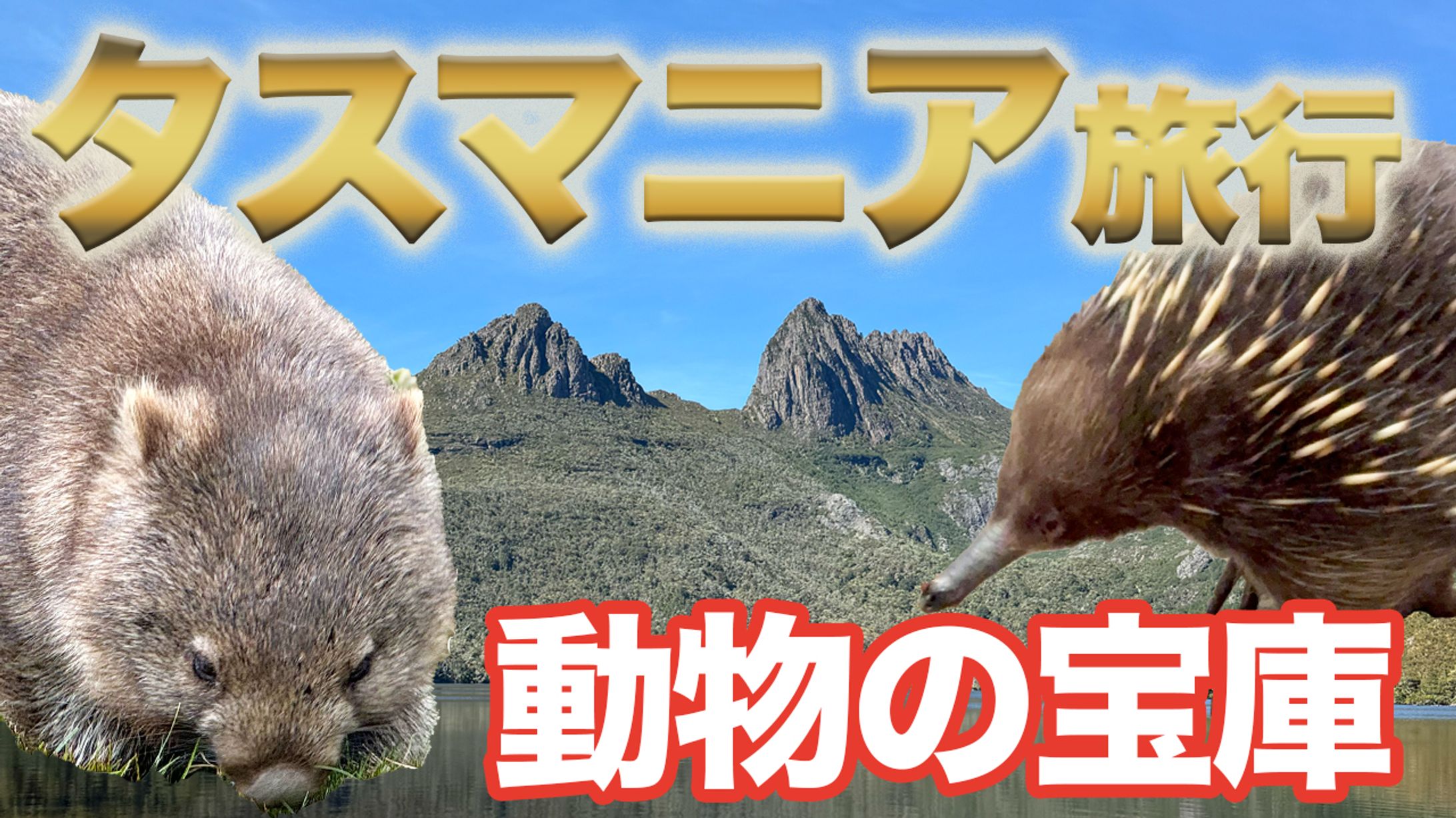 YouTubeサムネイル：タスマニア-1