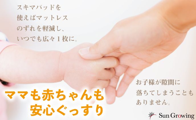 Amazon商品ページ