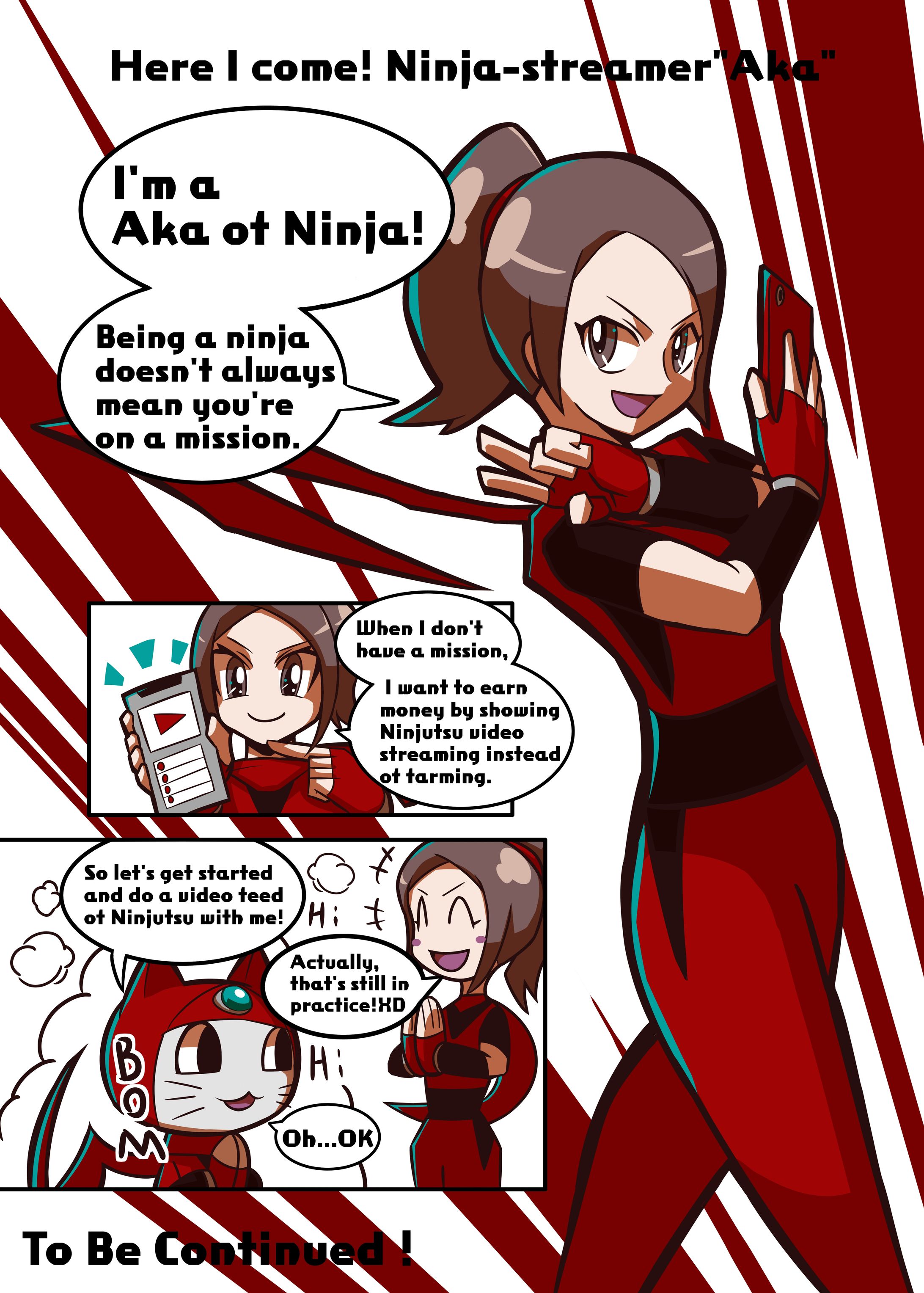 Ninja-streamer -1
