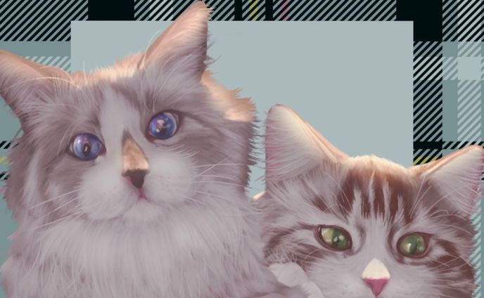 cats brothers