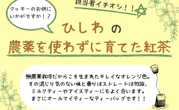 立体作品、デジタル