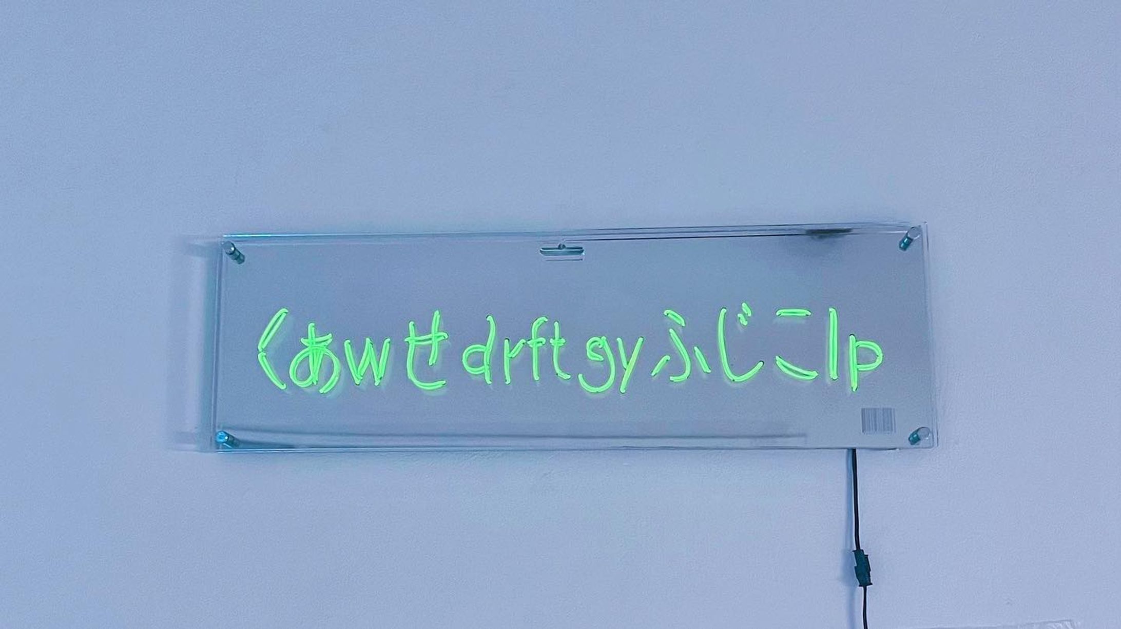 《くぁwせdrftgyふじこlp》(2023)-1