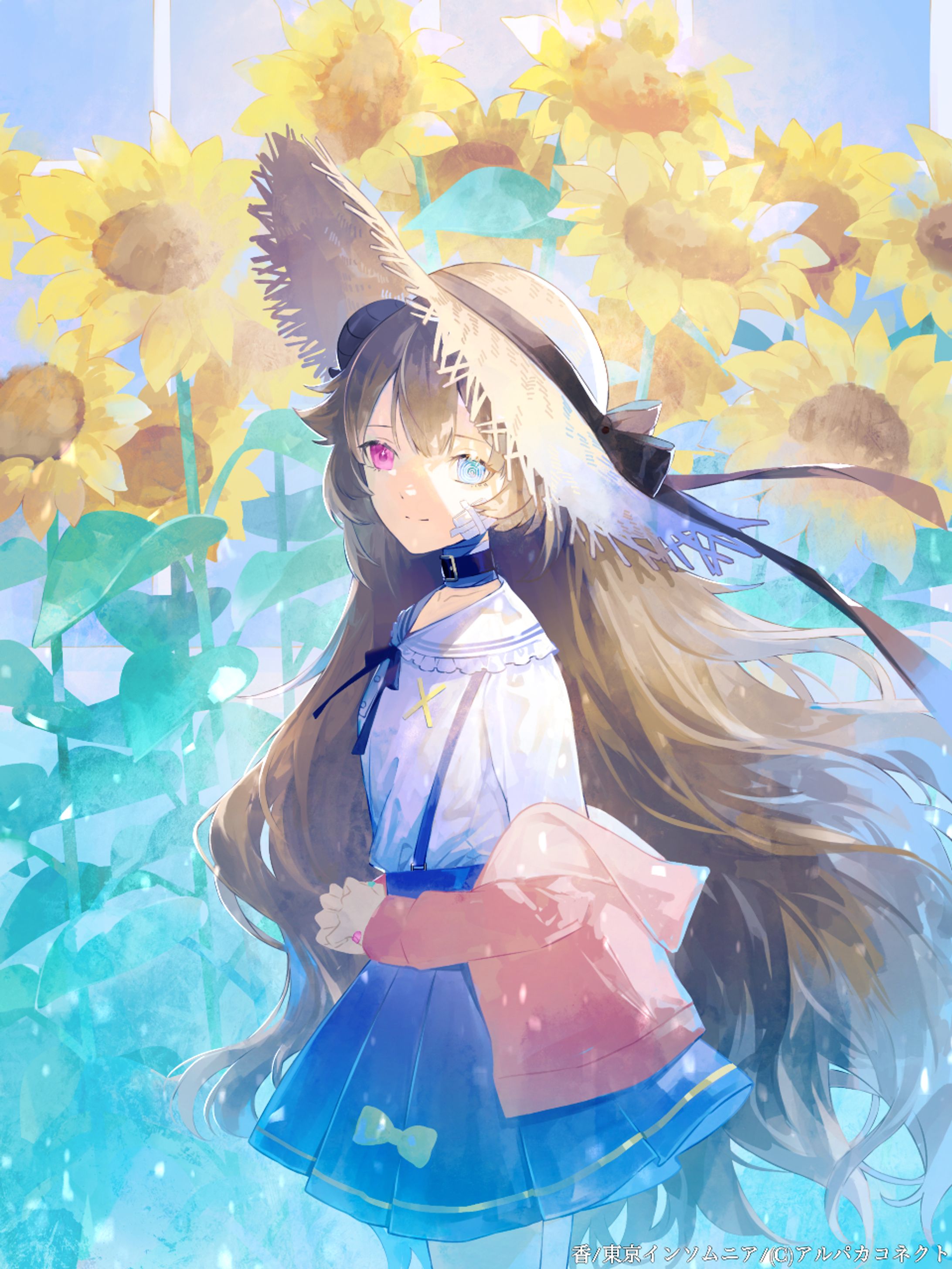 向日葵-1