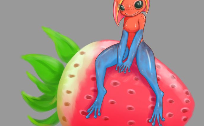 イチゴヤドクガエル