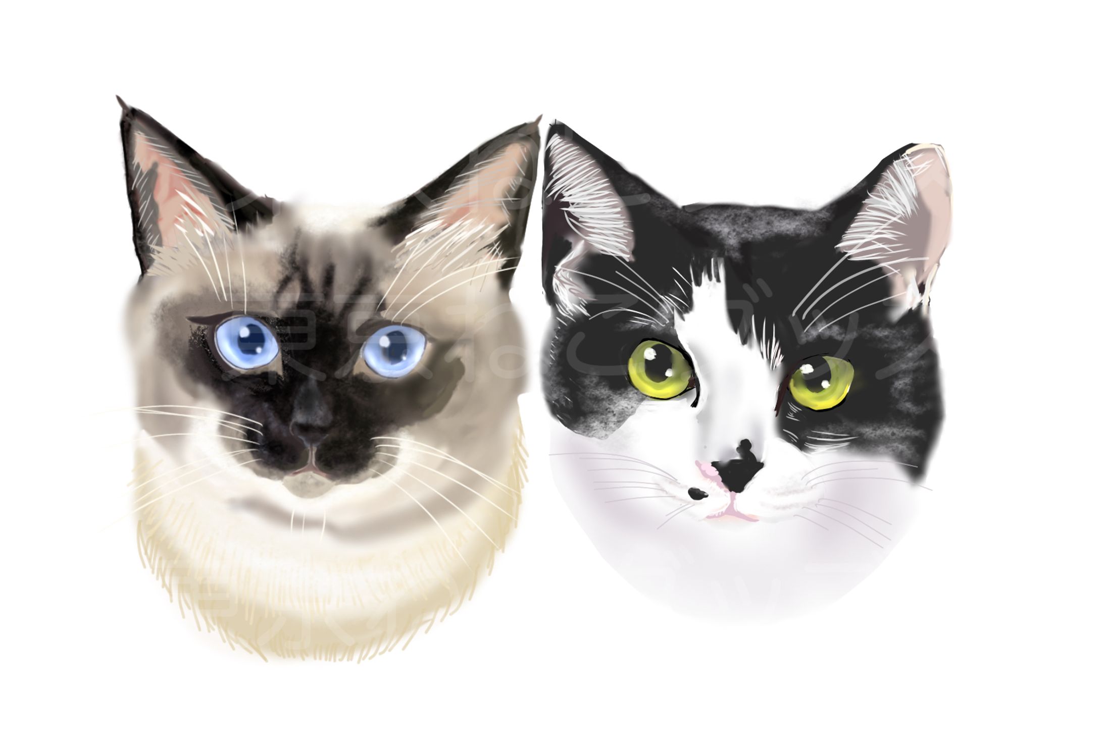 猫の似顔絵-1