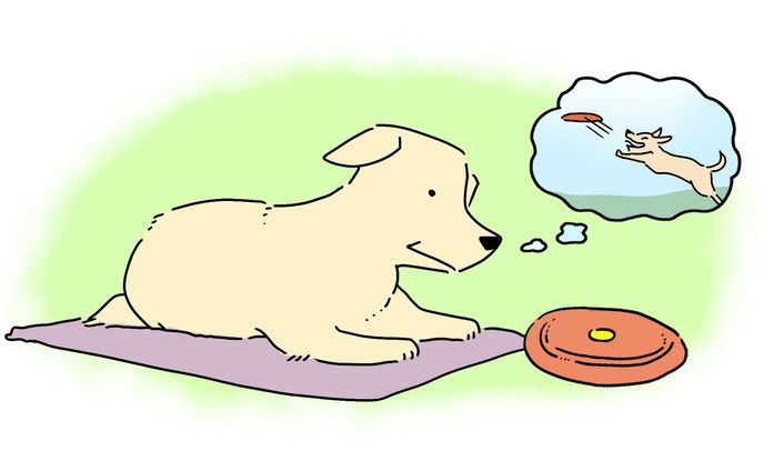 ホームページ「いぬのきもち」　動画イラスト