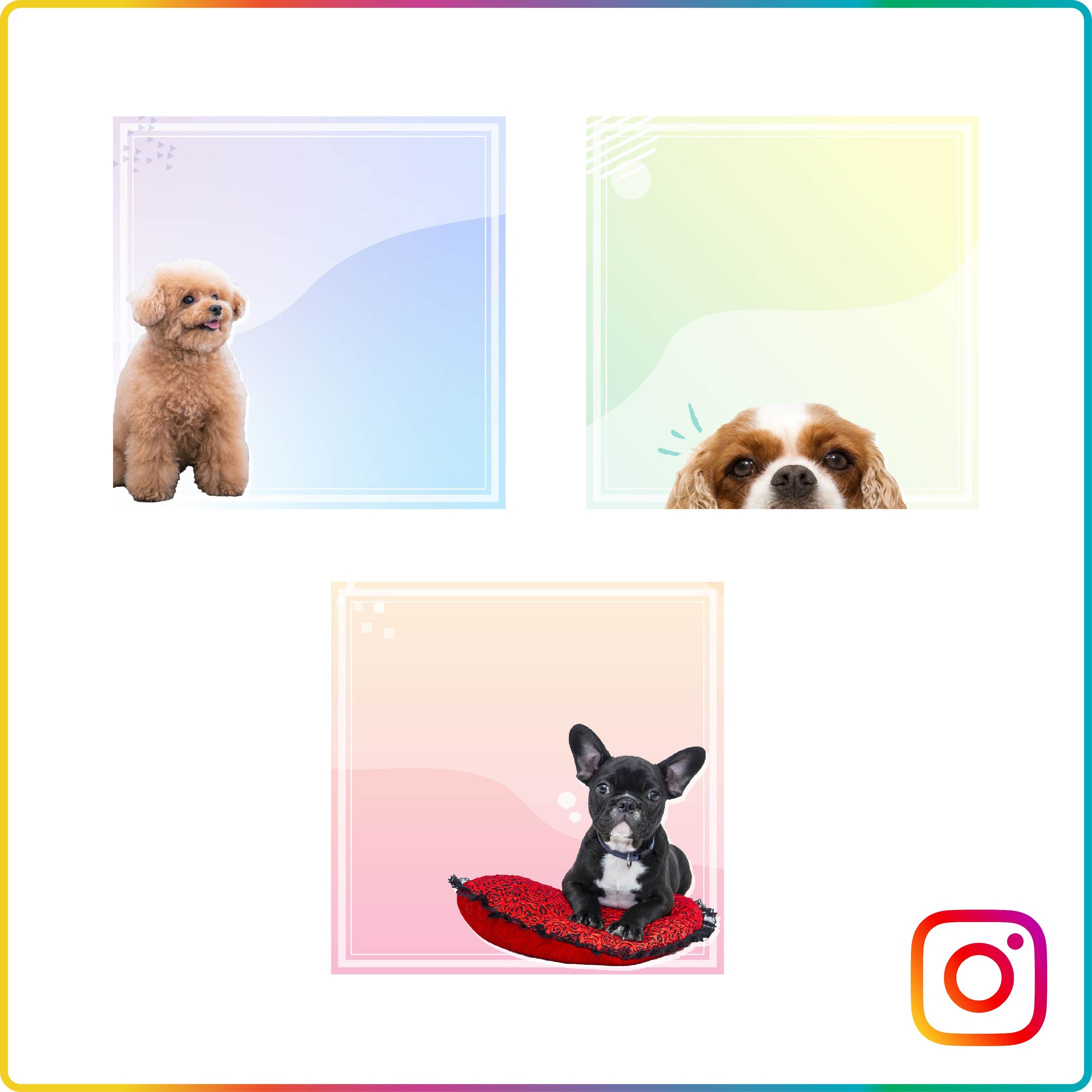 【実績】Instagram_クリエイティブ作成-1
