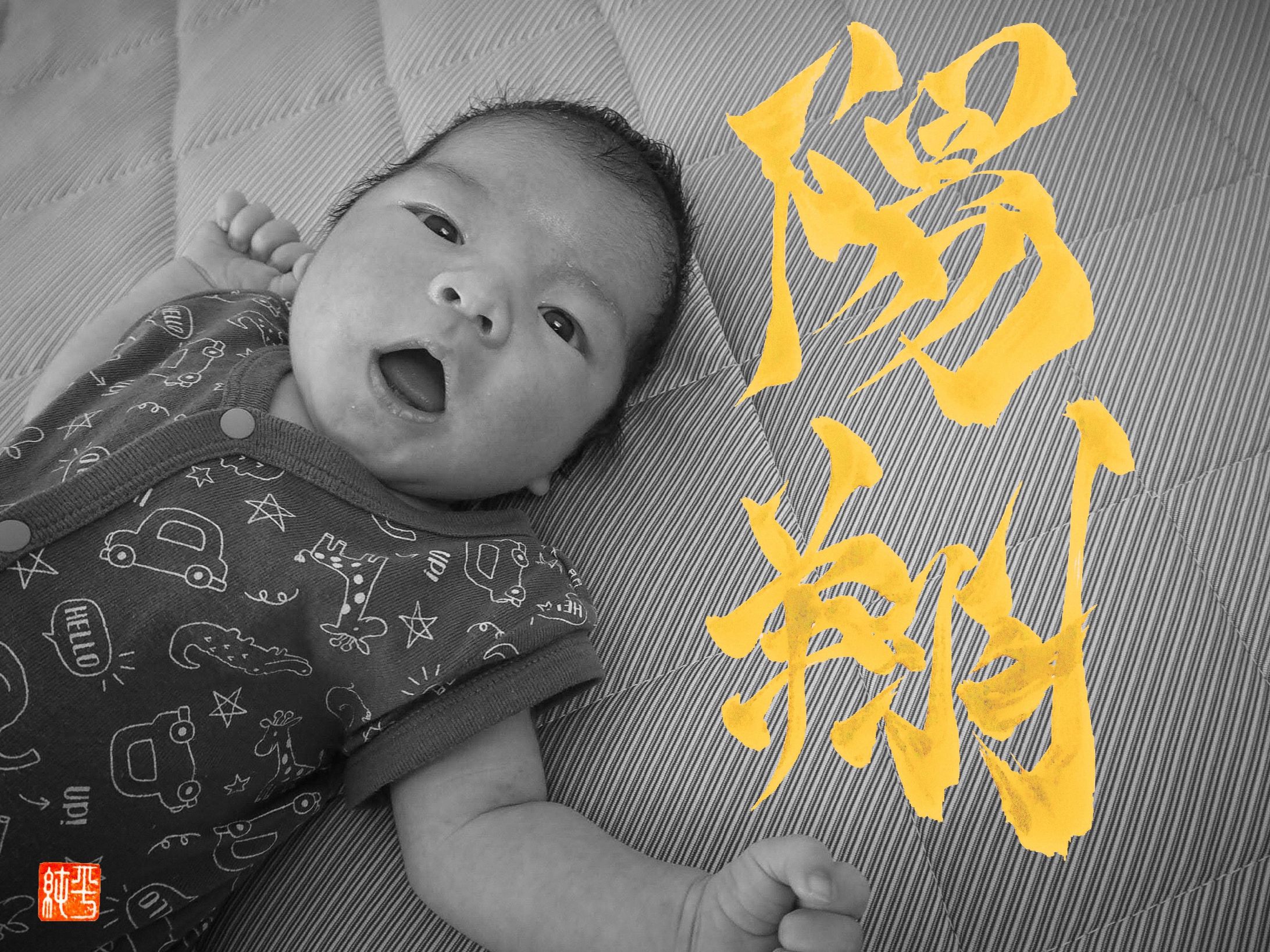 Birth Name -命名書--1