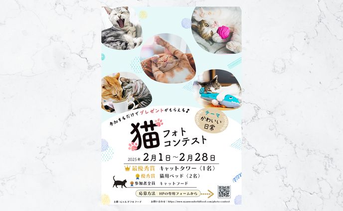 猫フォトコンテスト　ちらし