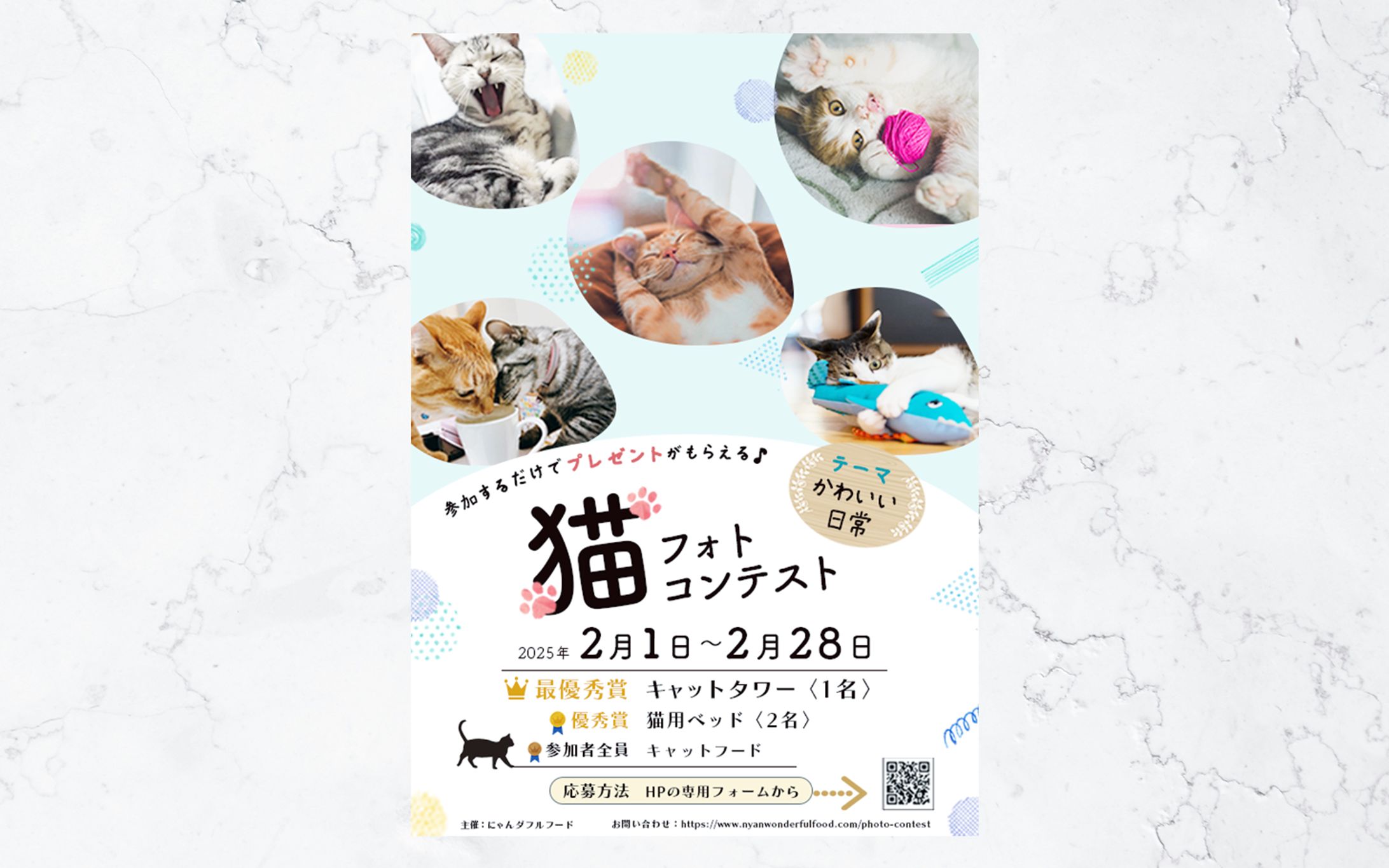 猫フォトコンテスト　ちらし-1