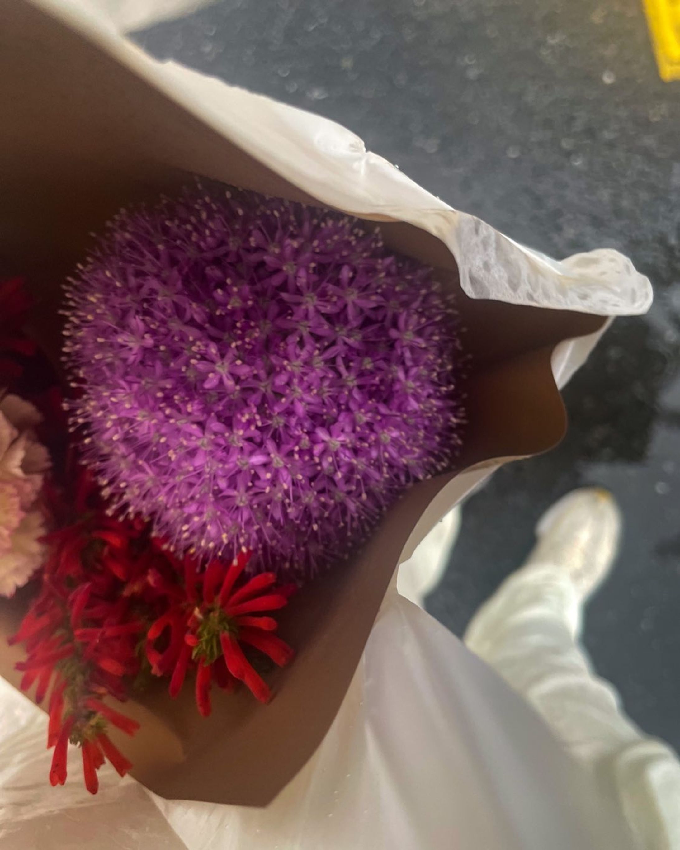 #地元 #旅投稿番外編

染色が得意なお花屋さんで素敵に染色されたカーネーションを母の日に💐
ってカーネション写ってなーい！-1