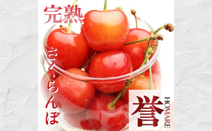 バナー/さくらんぼ