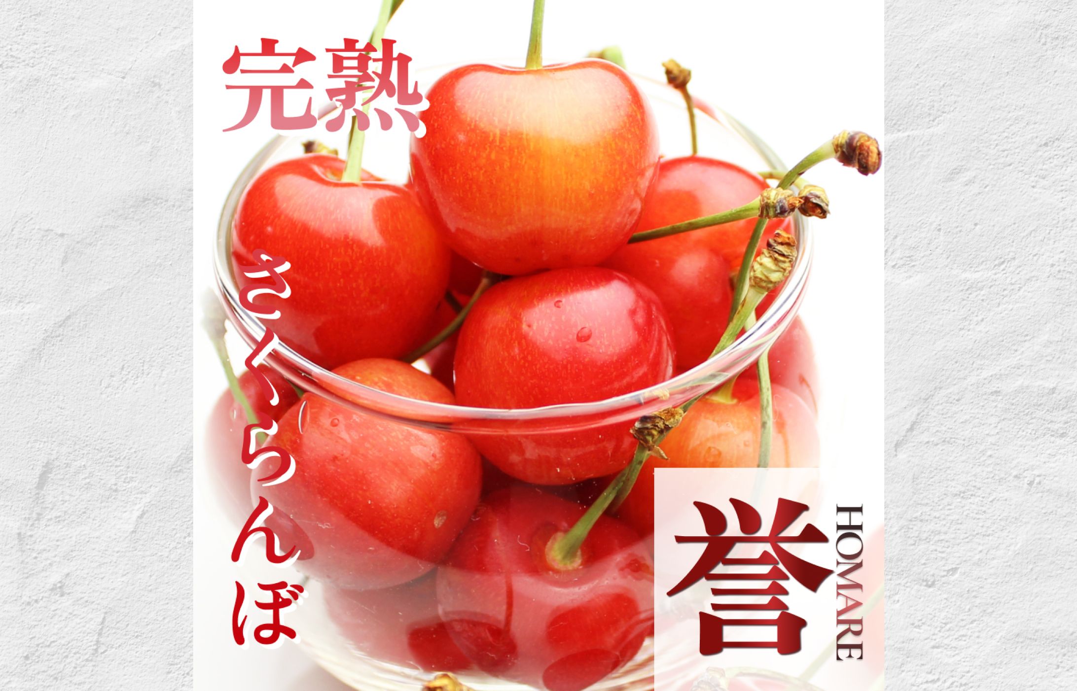 バナー/さくらんぼ-1