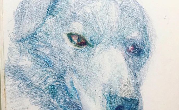 #Abbild
#Illustration
#illust
#イラスト #色鉛筆 #dog #Hund #いぬすたぐらむ