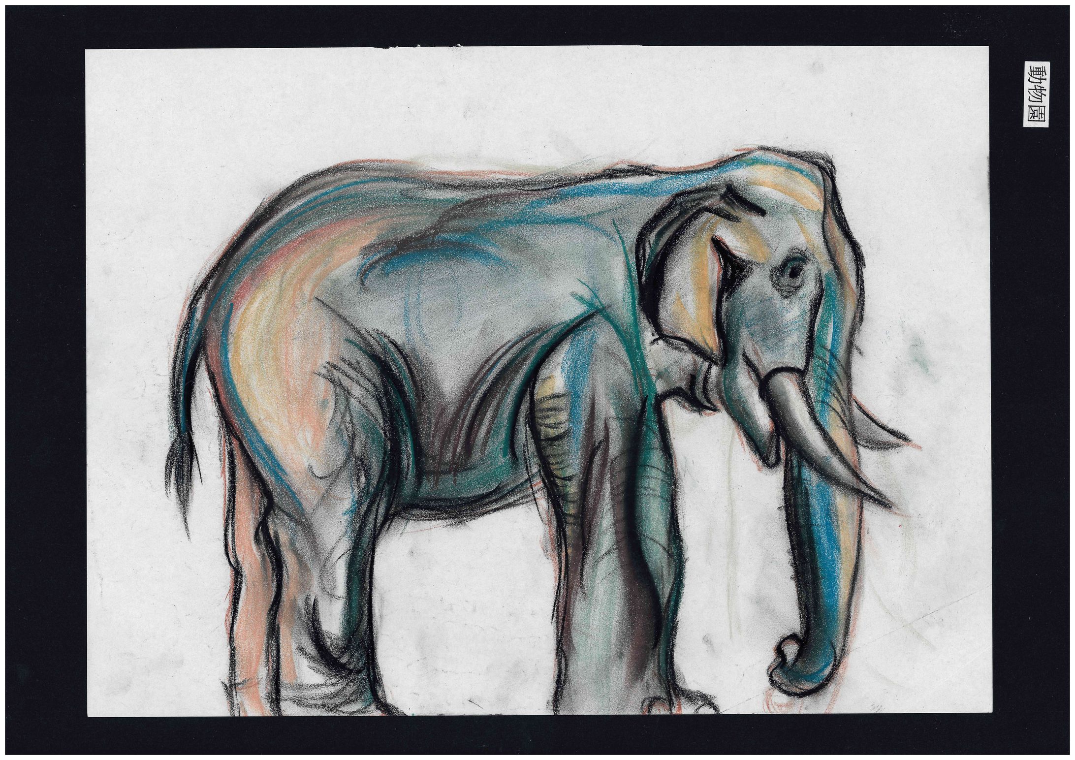 動物園でのスケッチ-1