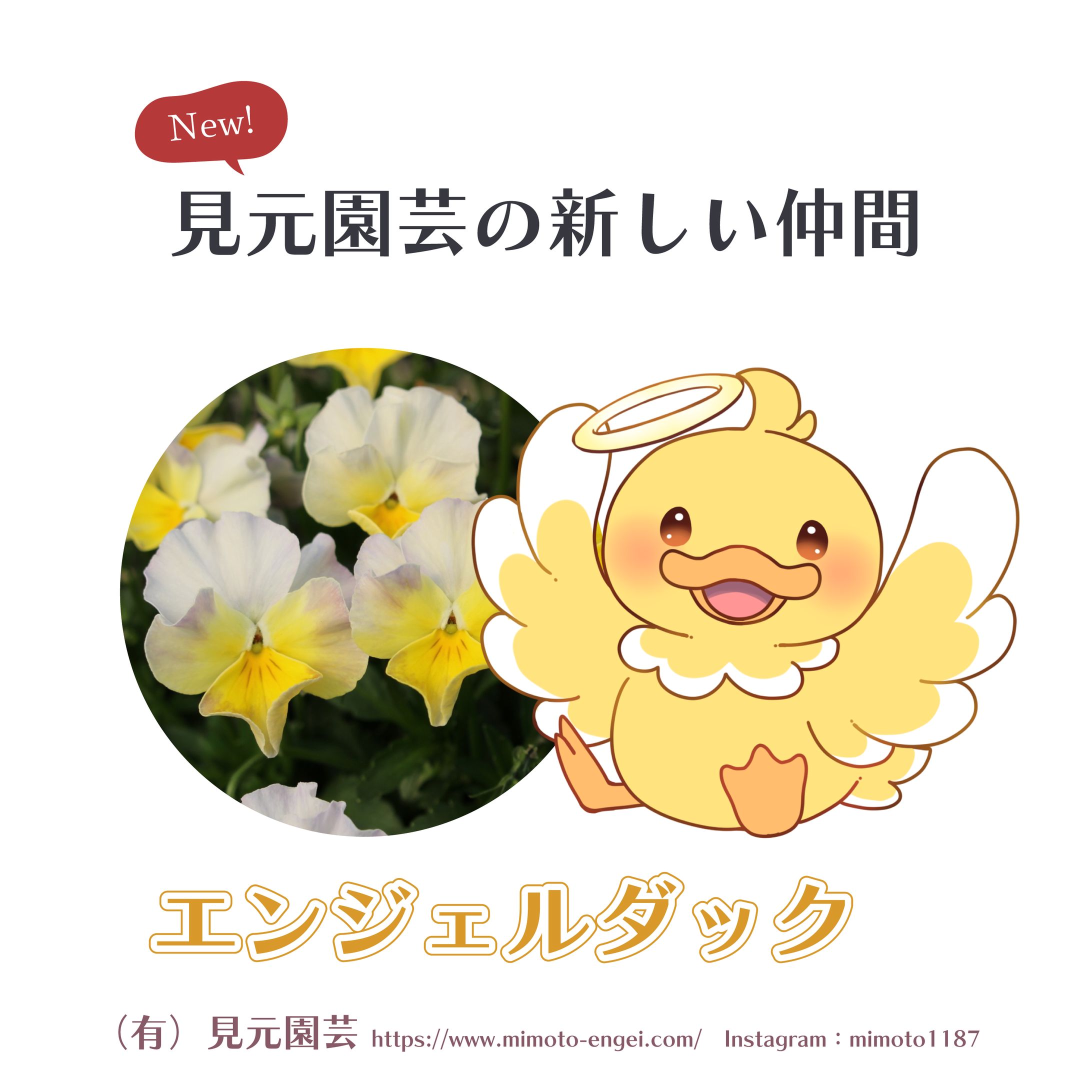 2022（有）見元園芸ラベルイラスト-1