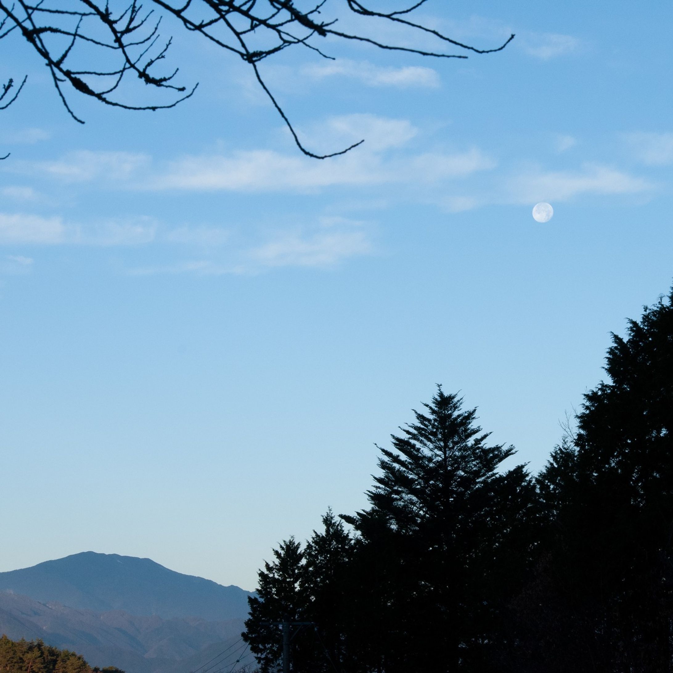 #イマソラ #空 #青空 #いまそら #月 #天気 #雲 #自然  #今日の空 #ファインダー越しの私の世界 #写真好きと繋がりたい
#カメラ好きと繋がりたい #長野県 #信州 #sky #skyblue #sky_love #skylove #skylover #skylovers #skyporn #skysnappers #sky_captures #cloud #clouds #blue
#Nikon#D60#D5000-1