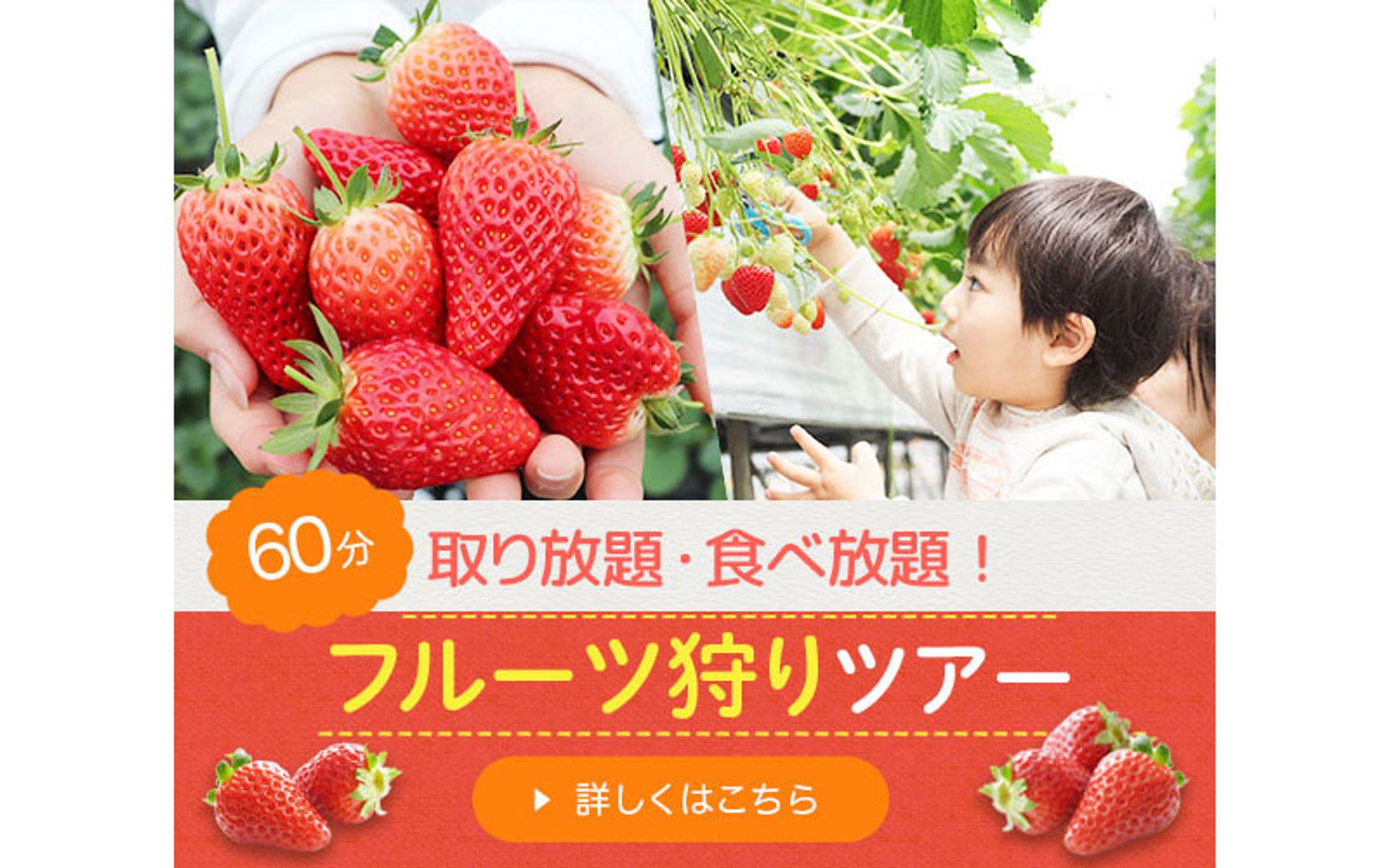 フルーツ狩りバナー-1
