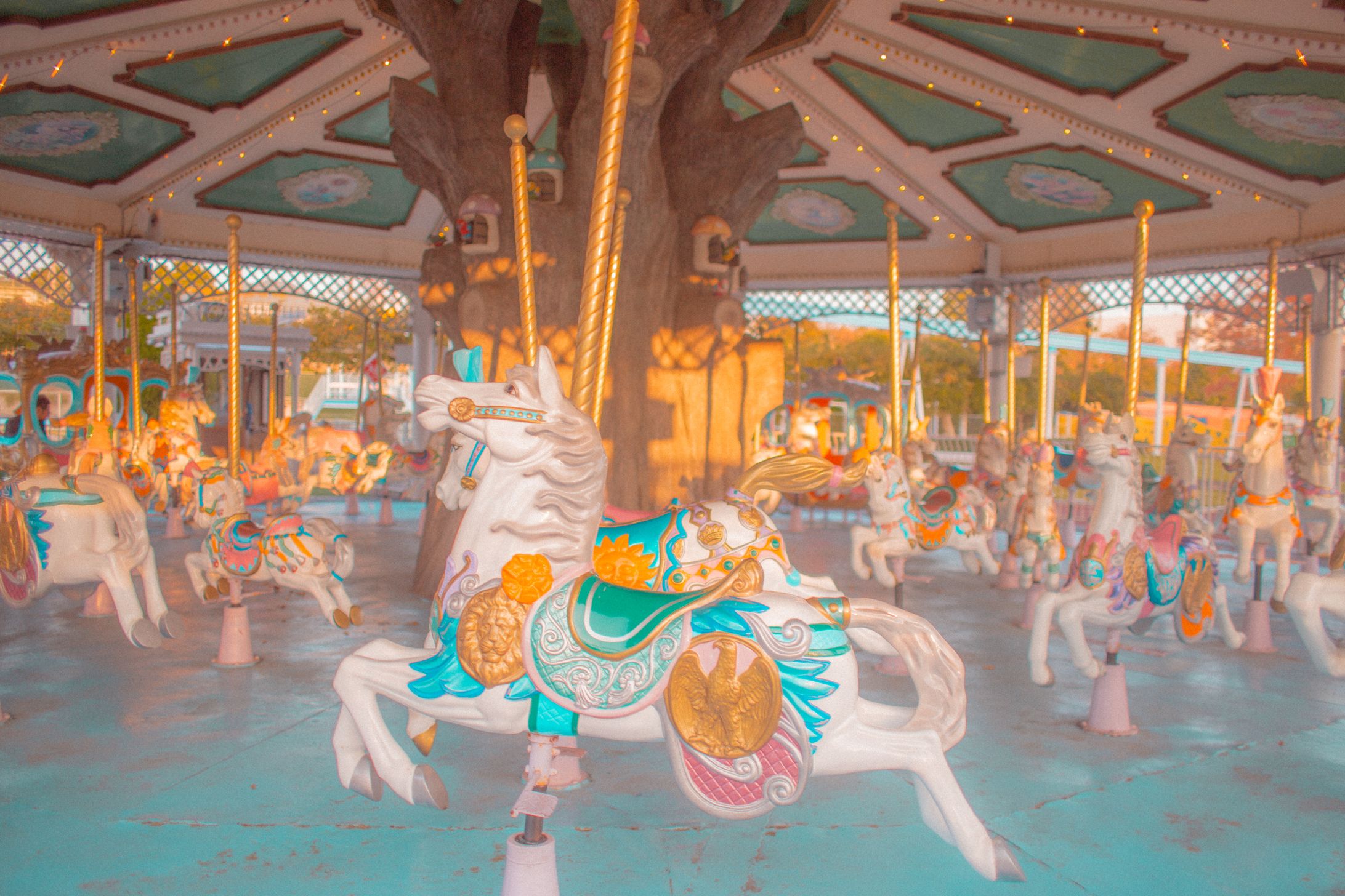 wonderland-1