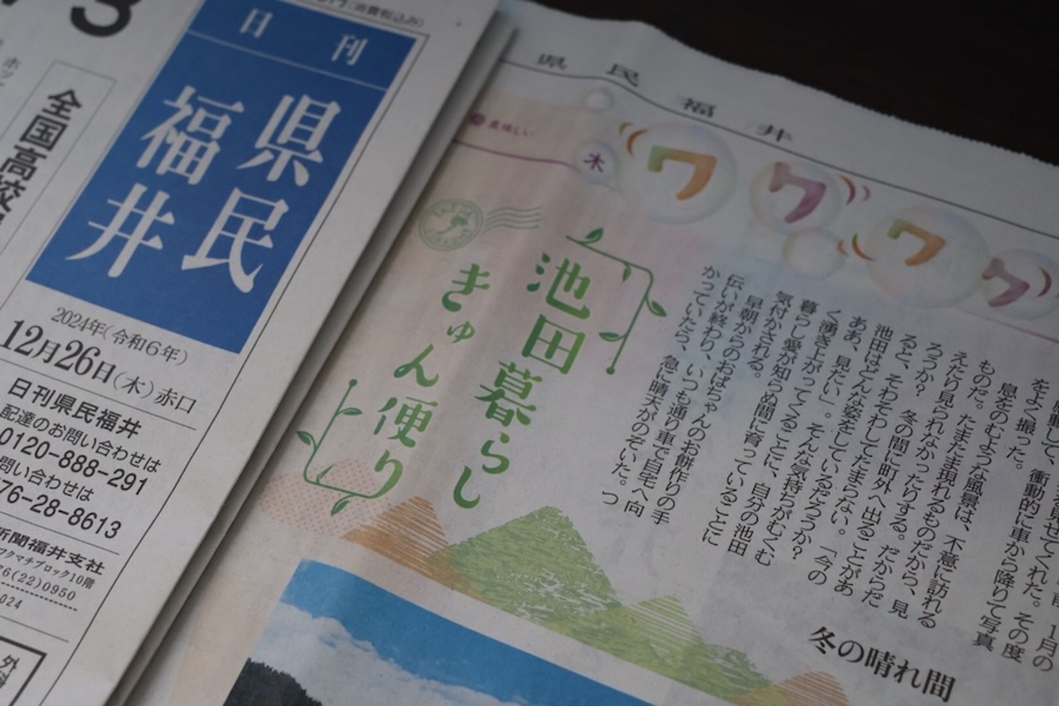 日刊県民福井・連載「池田暮らし きゅん便り」-1