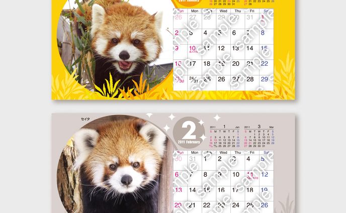 【卓上カレンダー】円山動物園