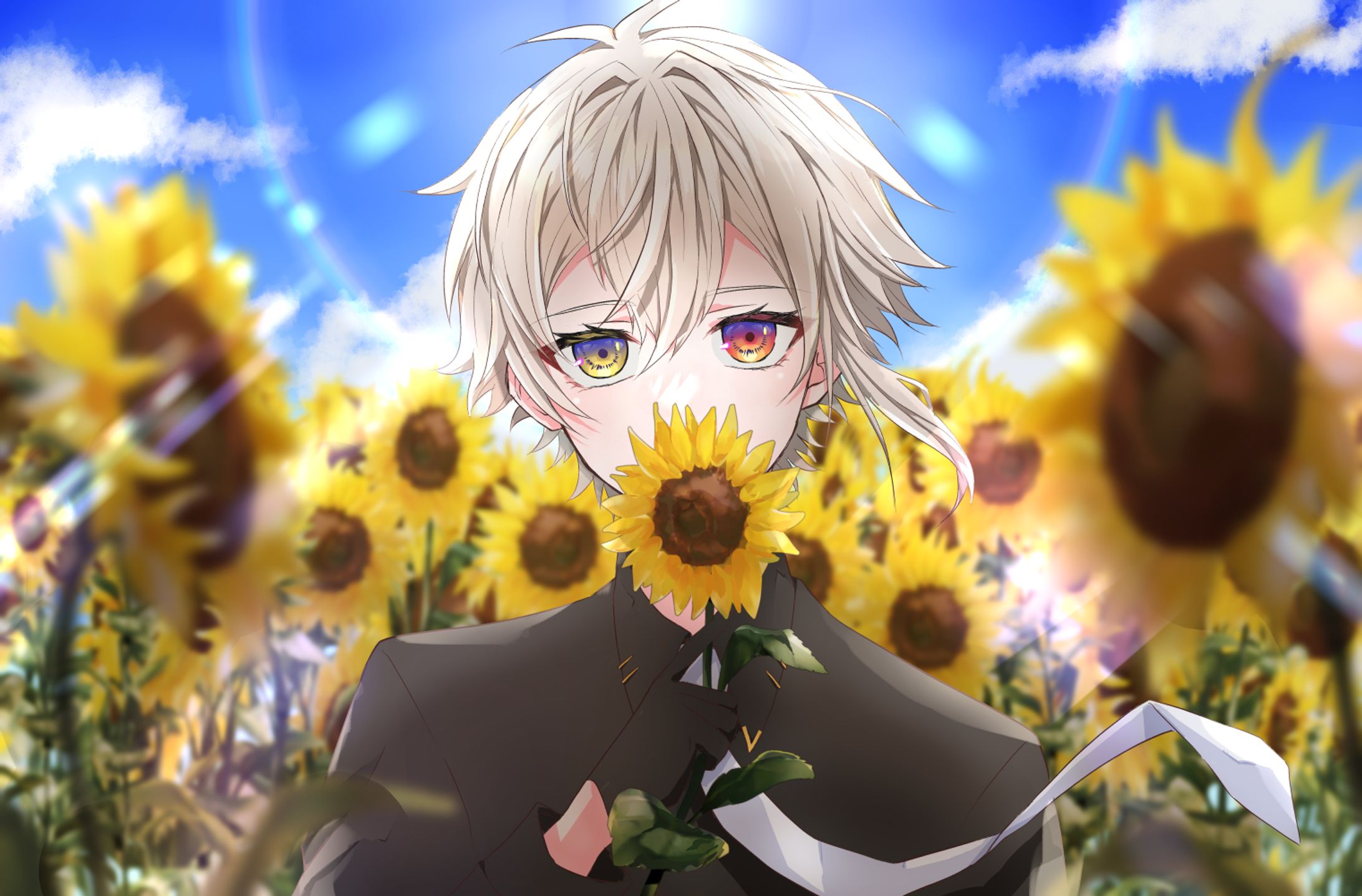 藍花ましろVT FA-1