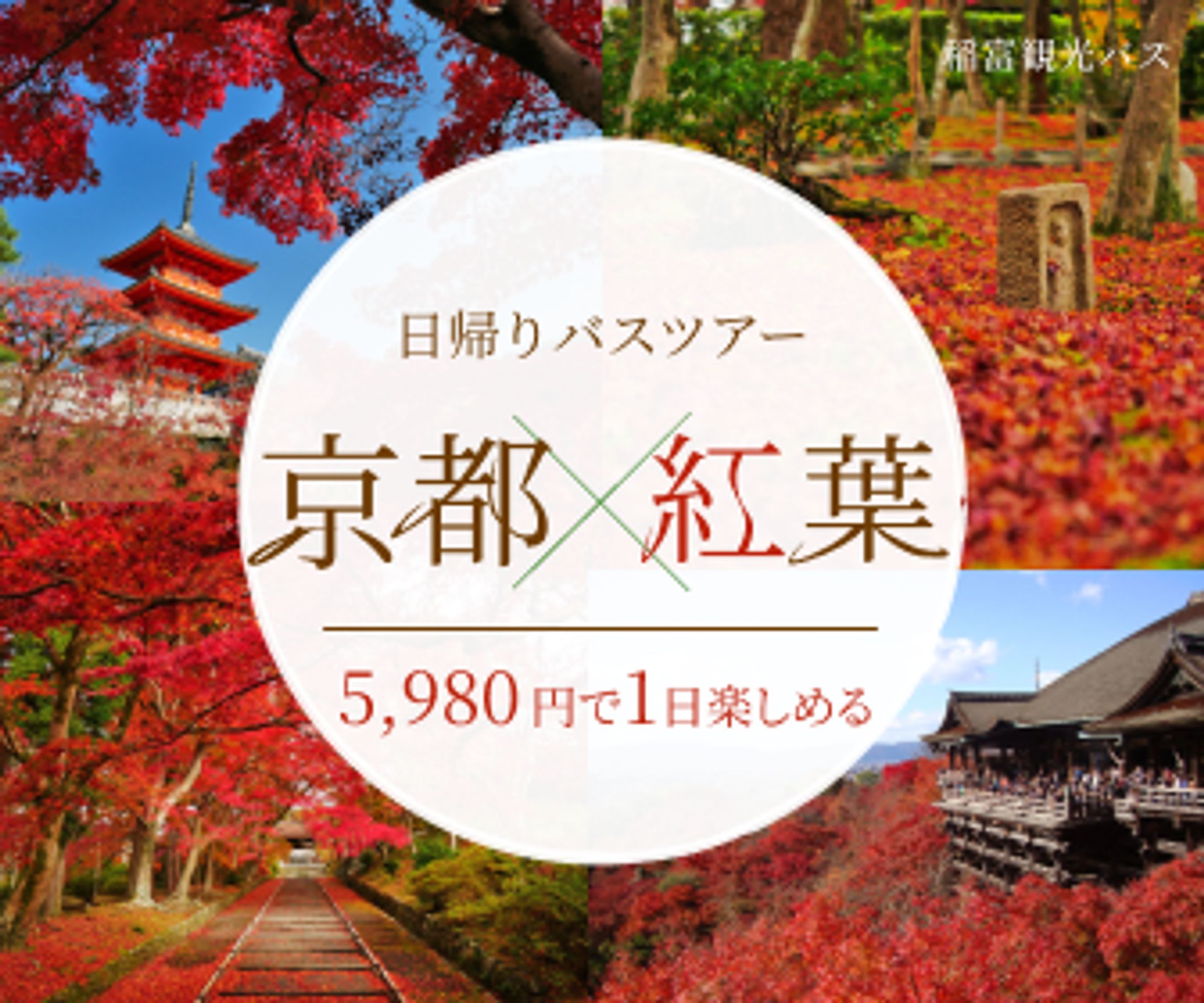 観光バスのツアー参加募集②-1