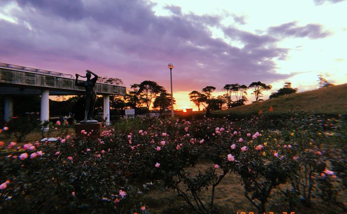 The scenery