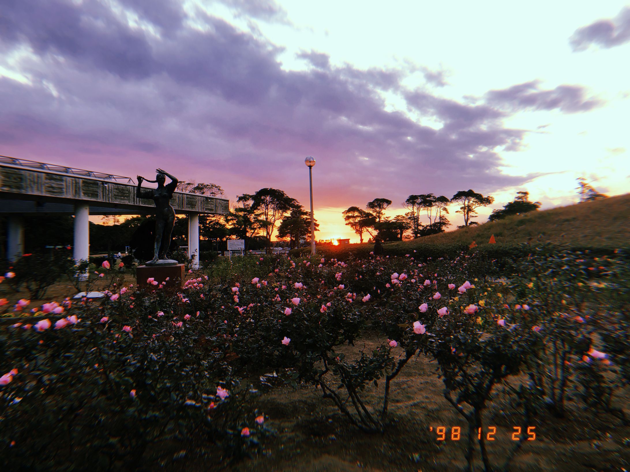 The scenery-1
