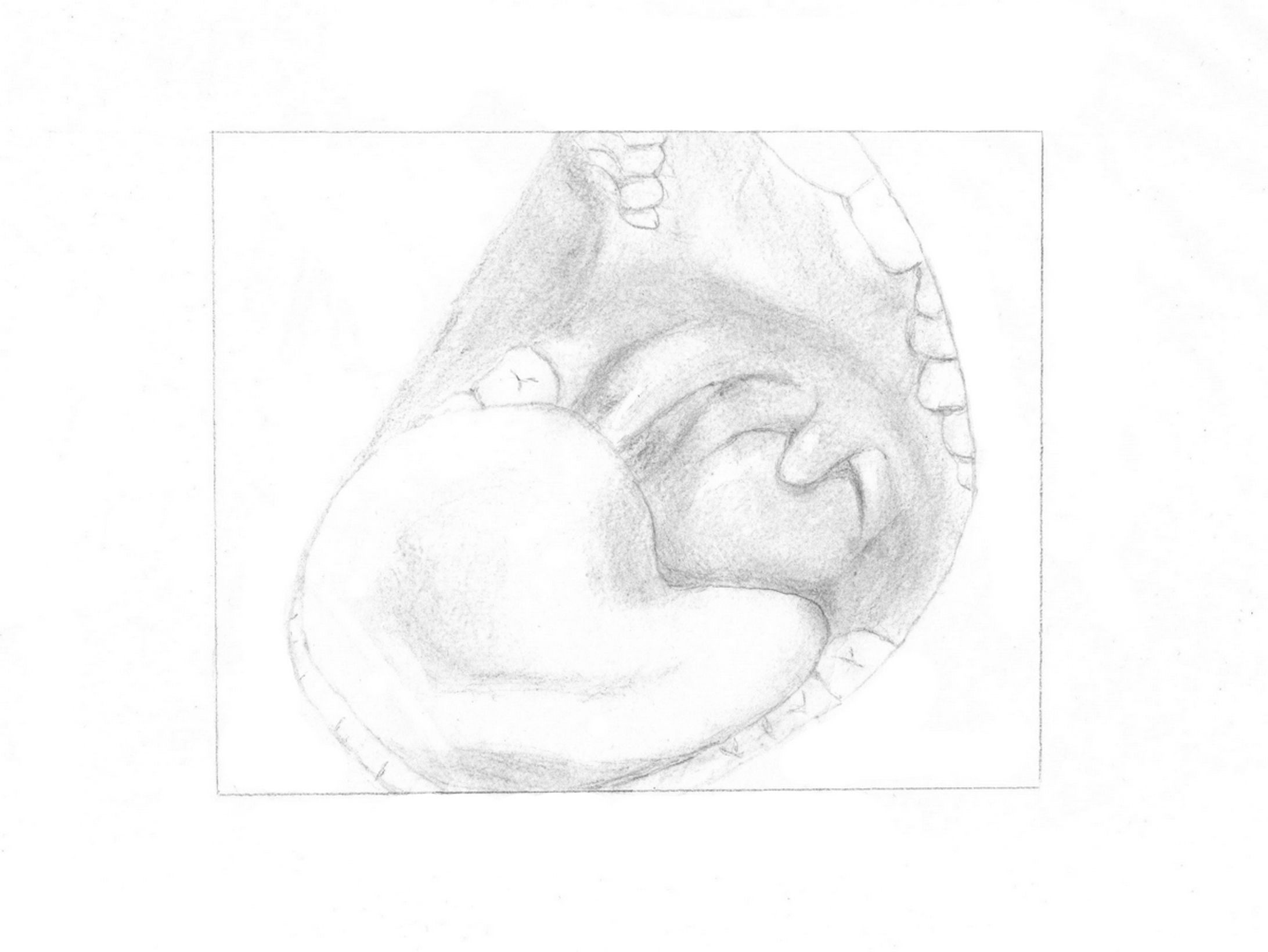 Sketch of open mouth-1