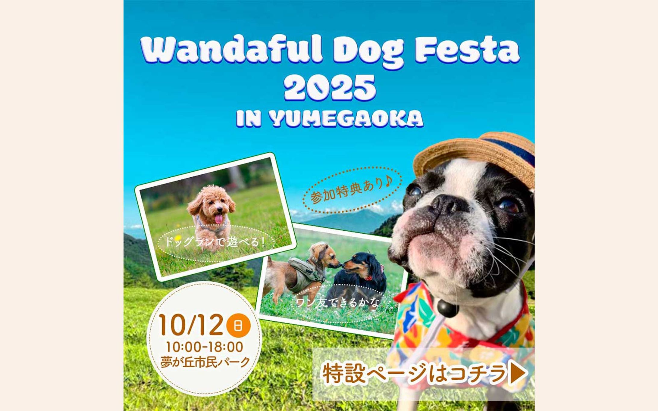 バナー （ドッグフェス）-1