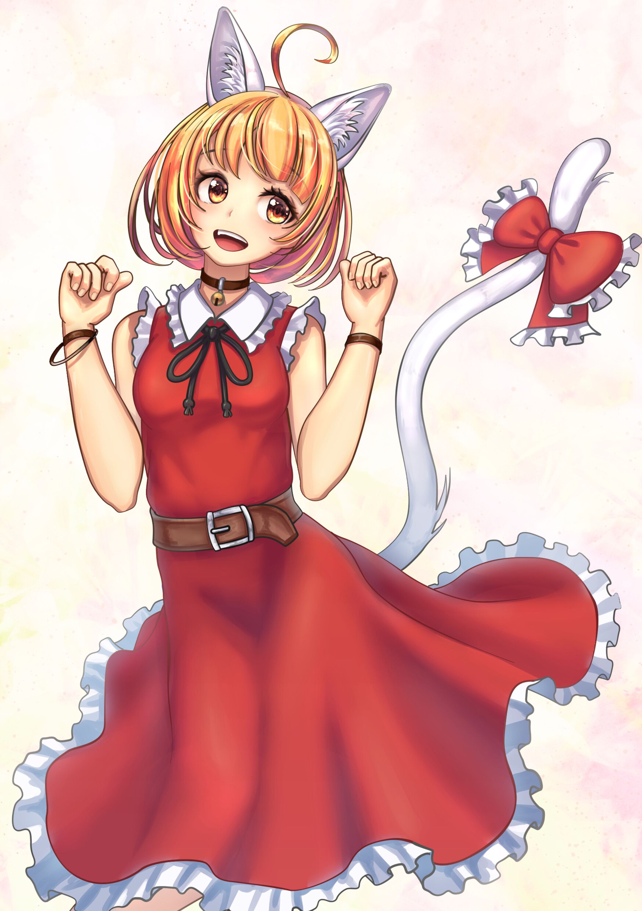 白猫ちゃん-1