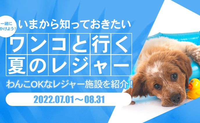 動物系サムネ　トレース