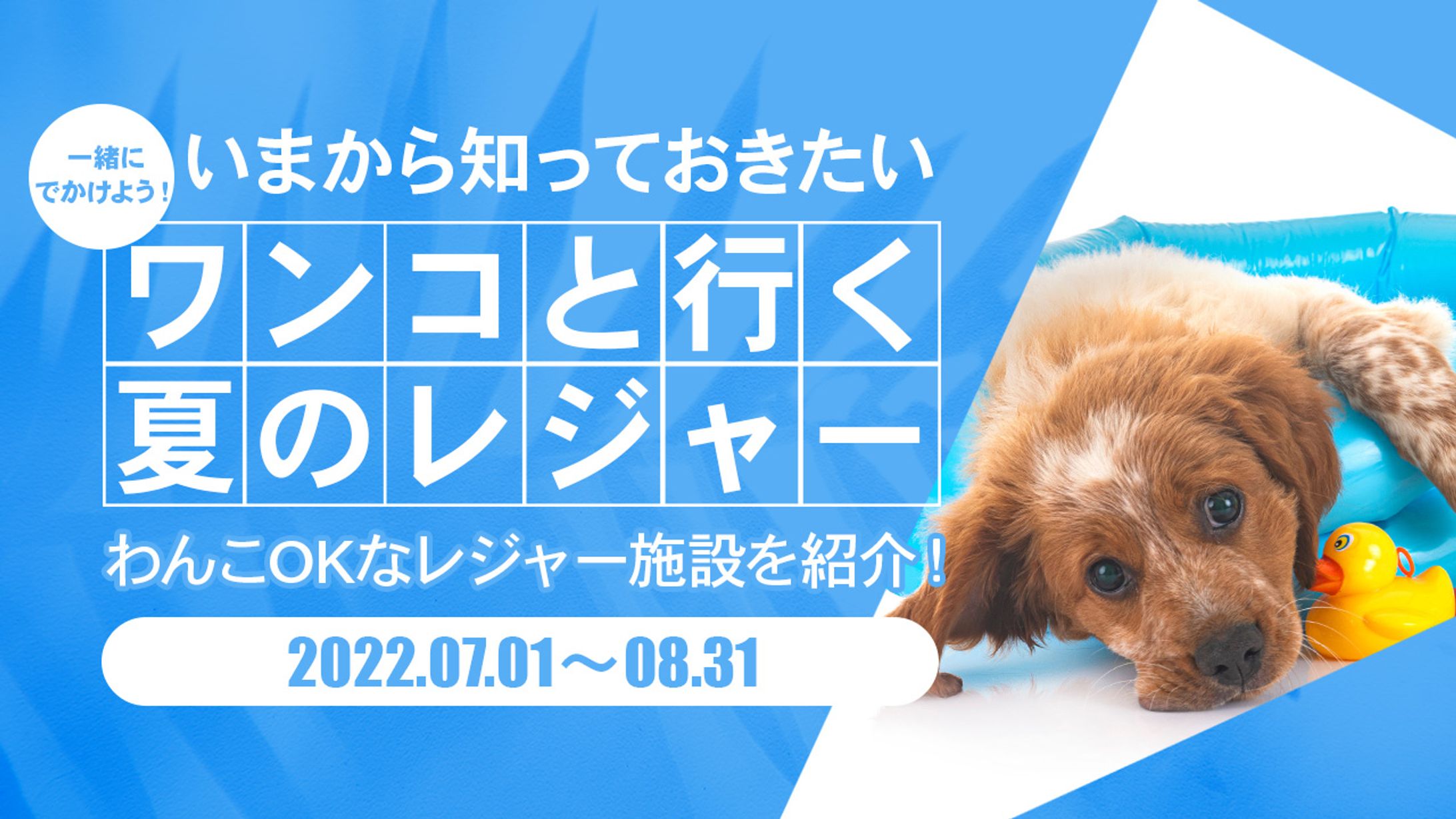 動物系サムネ　トレース-1