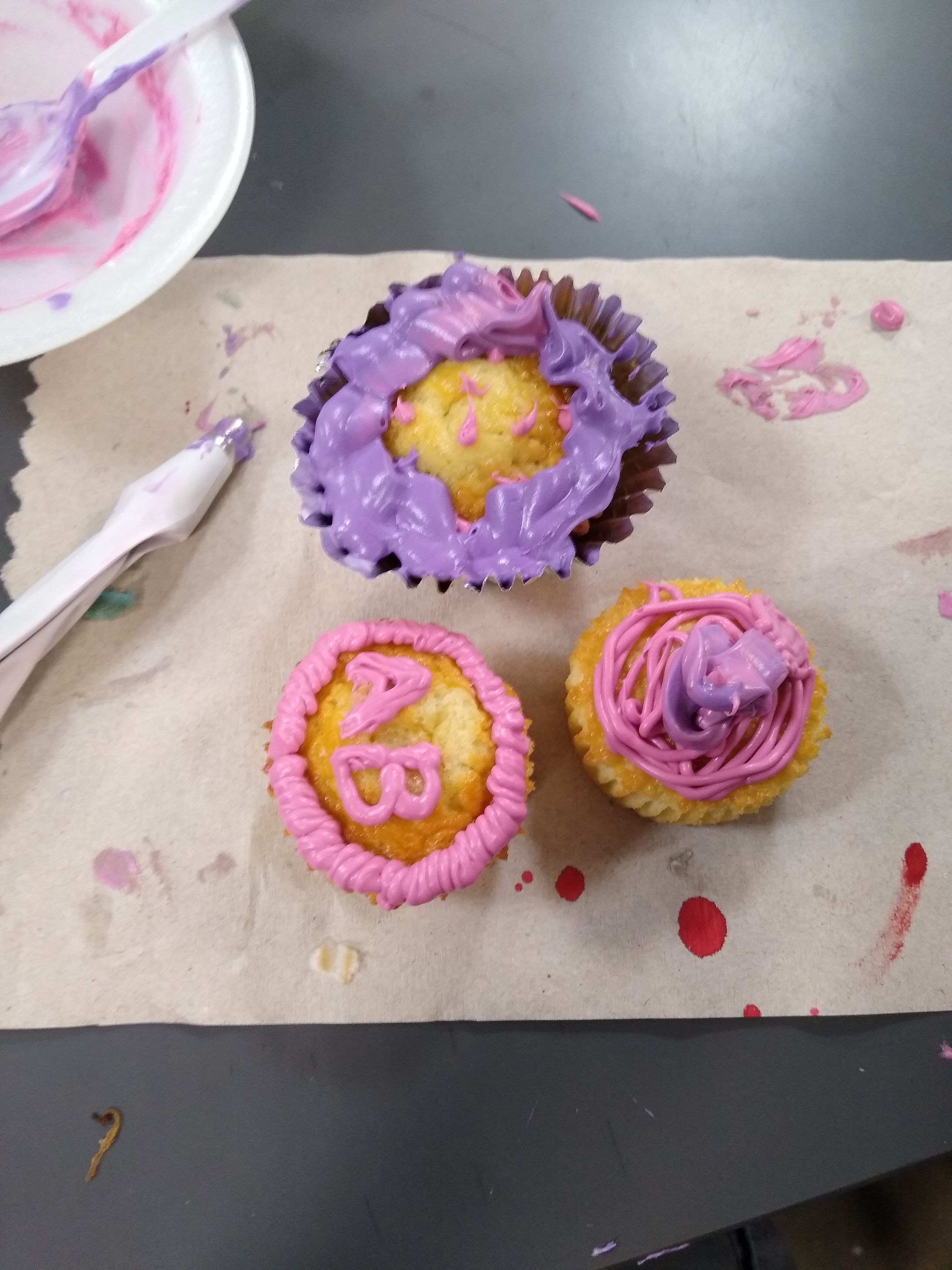 Wednesday Cupcakes-1