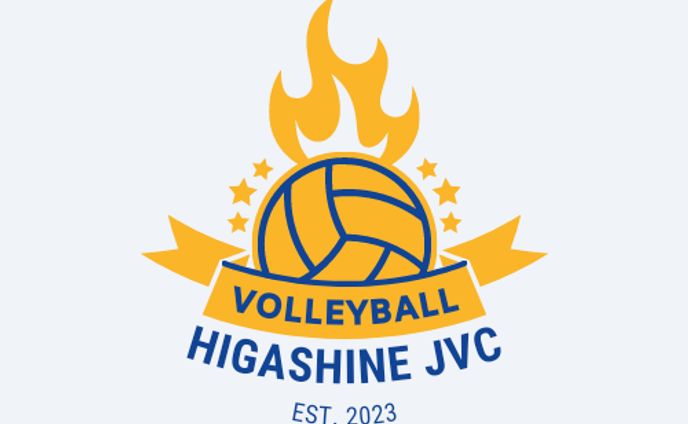 Logo: Volleyball + Fire