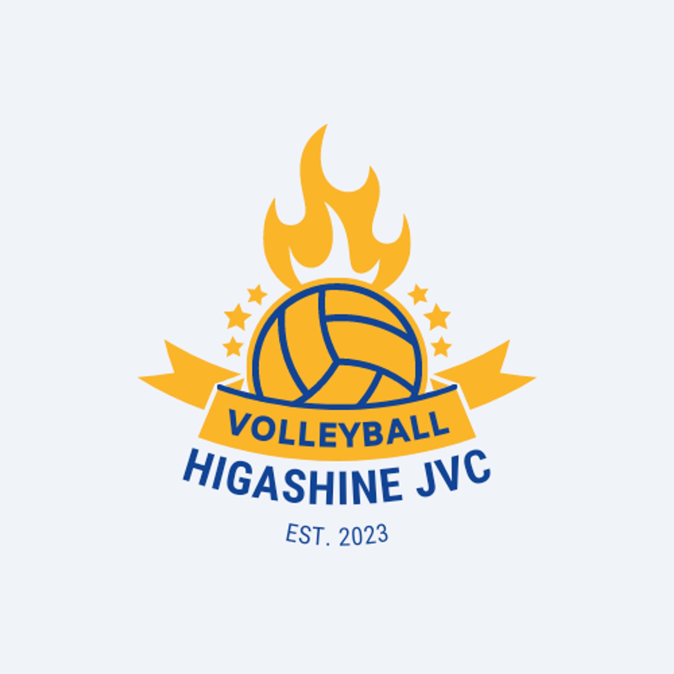 Logo: Volleyball + Fire-1