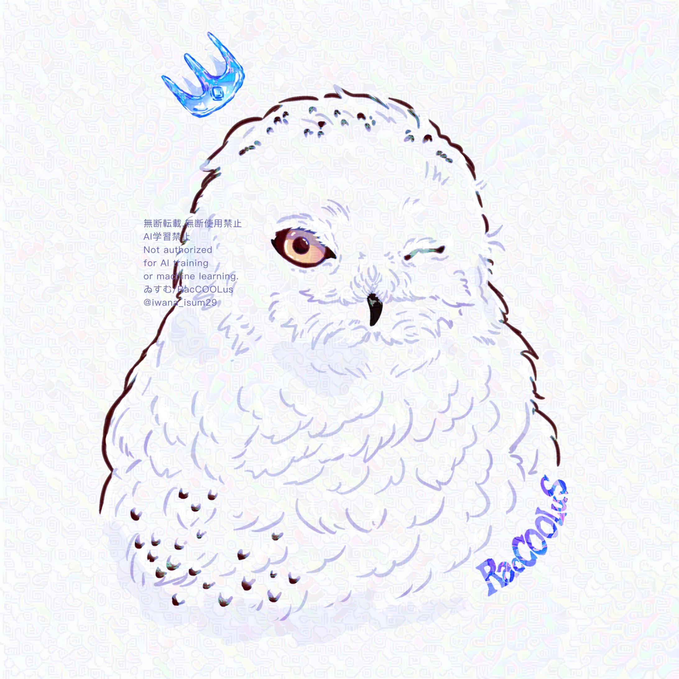 シロフクロウ-1