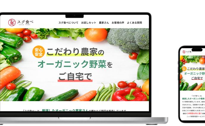 課題　野菜宅配サービスすぐ食べ