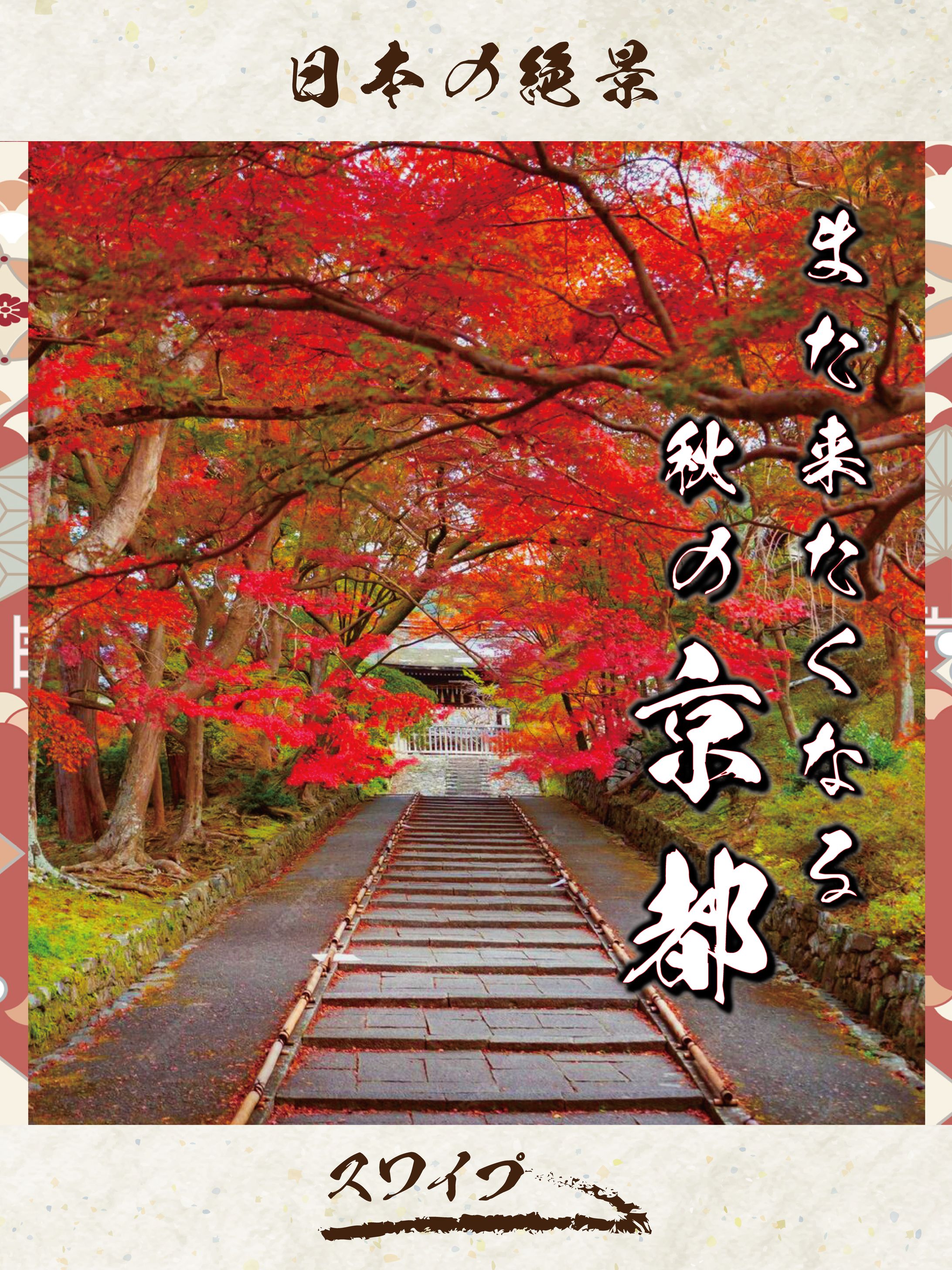 Instagram投稿実績(営業資料①)-1