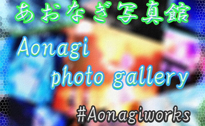 あおなぎ写真館 Aonagi photo gallery vol․1(VRChat World)
